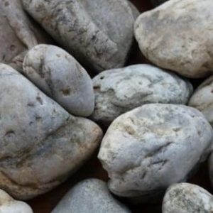 2019-02-06_160420-500x500