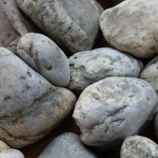 2019-02-06_160420-500x500