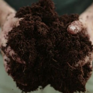 торф-как-удобрение-торф-для-огорода-удобрение-земли-торфом